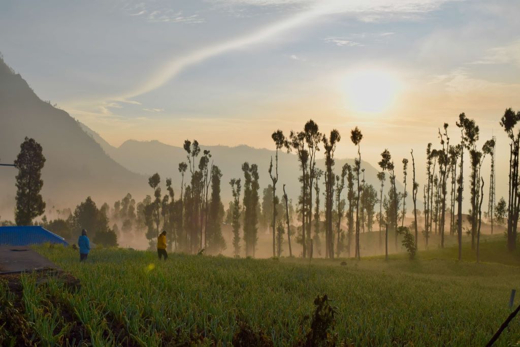 Bromo Sunrise, private tours - East Java Travel